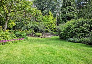 Optimiser l'expérience du jardin à Notre-Dame-de-Londres